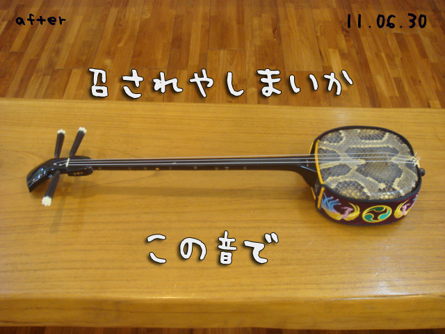DSC02446_2