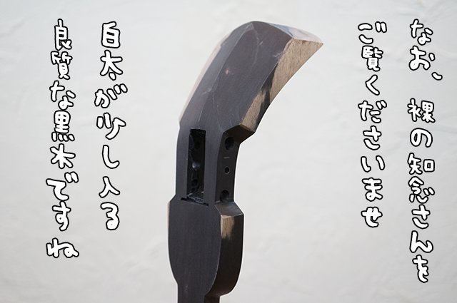 DSC04733_2